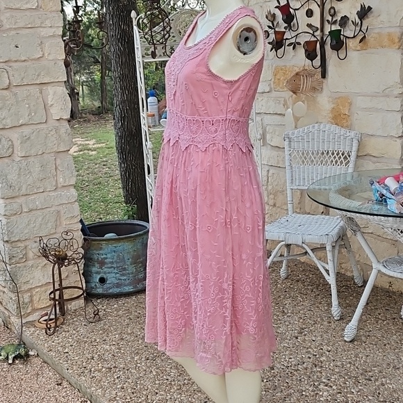 Sundance Juliet Rose Pink Lace Boho Romantic Sleeveless Embroidered Dress Size 6 - Picture 4 of 11